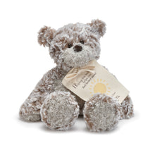 Load image into Gallery viewer, Demdaco - Feel Better Mini Giving Bear -