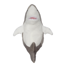 Load image into Gallery viewer, Sebastian Shark