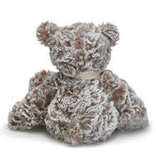 Load image into Gallery viewer, Demdaco - Mini Giving Bear - Happy Birthday
