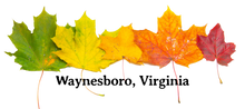 Load image into Gallery viewer, Waynesboro Autumn Leaves Long Sleeve T-Shirt
