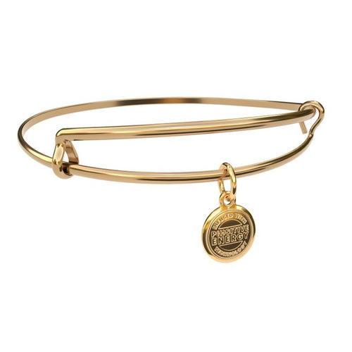 Metalystic Dome Bangle - Platinum Gold