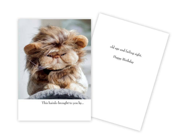 Funny Cat Birthday Card